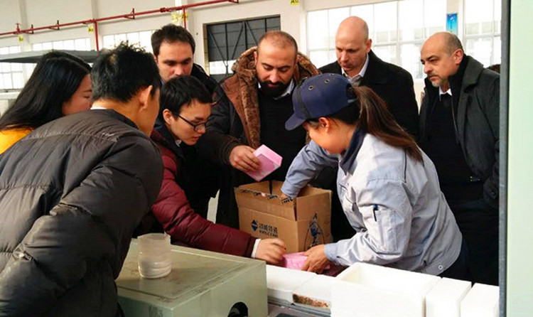 欧亚国际(中国集团)·官方网站