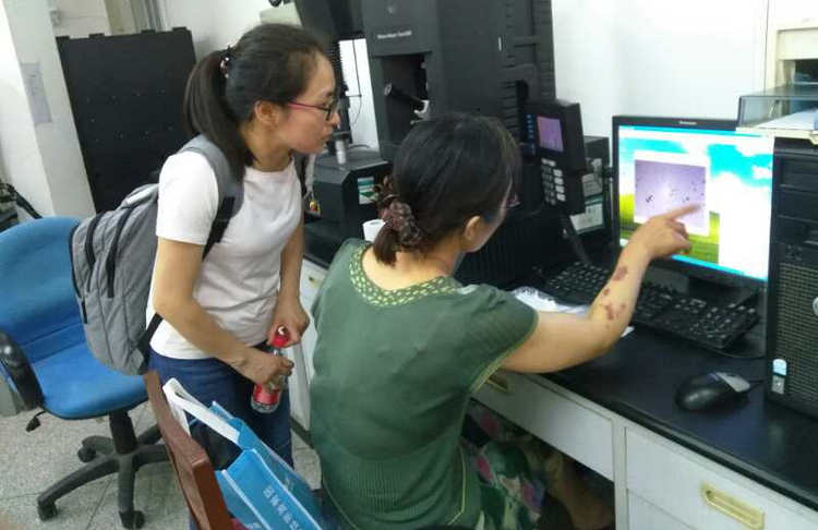 欧亚国际(中国集团)·官方网站